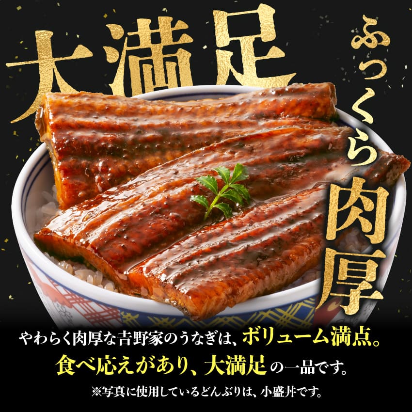 牛丼の具6袋＆うなぎ3袋セット【冷凍】