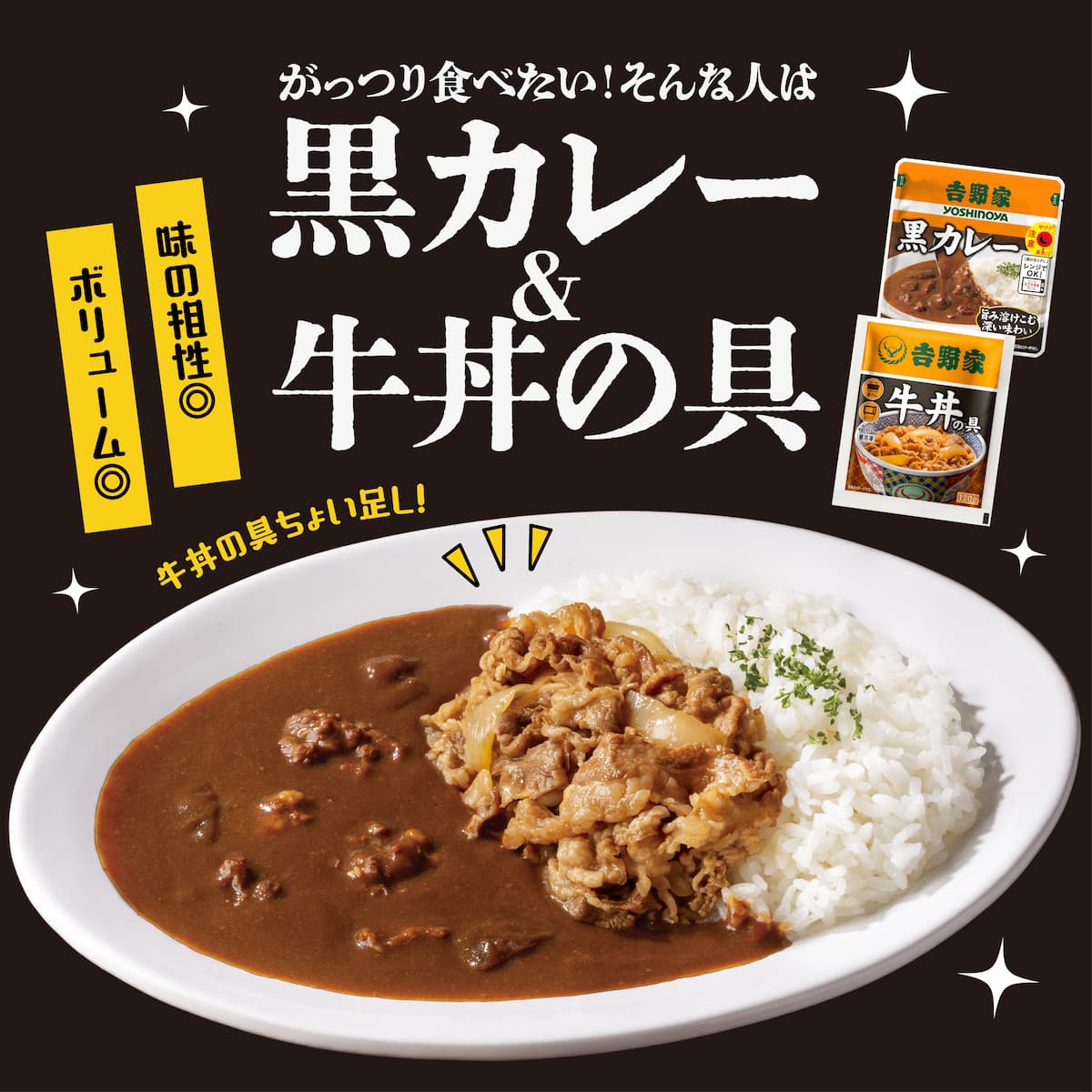 お試し常温保存タイプ 黒カレー4袋【メール便/他商品同梱不可】