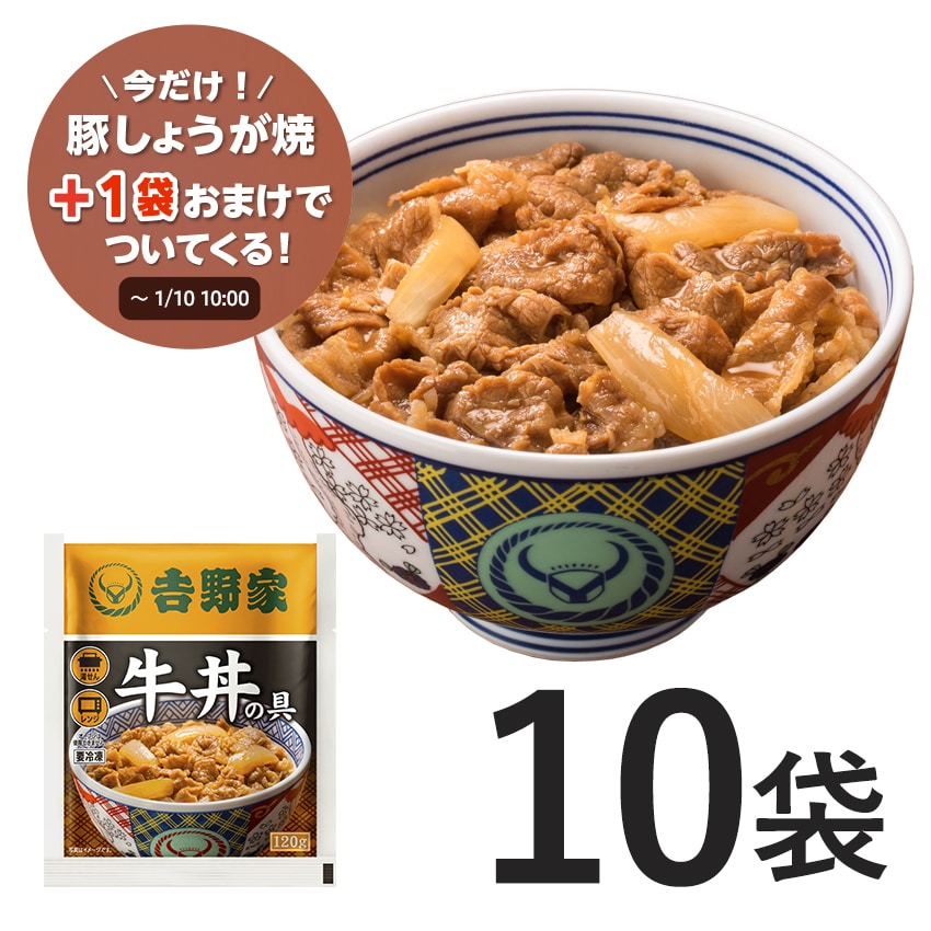 牛丼の具 10袋【冷凍】B