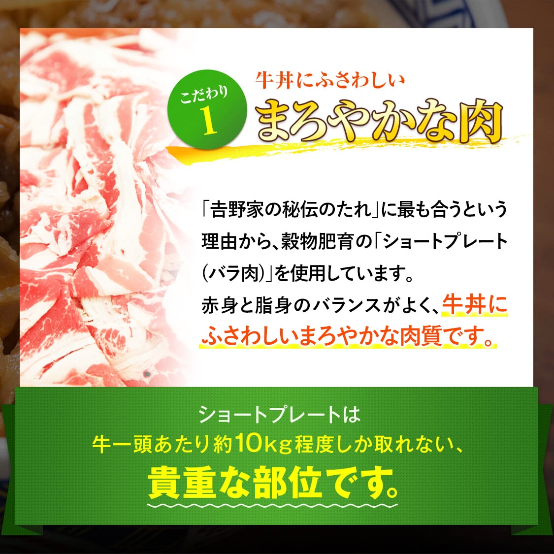 ドラクエウォークコラボセット(メラミン製丼並盛1個＋冷凍牛丼2袋)