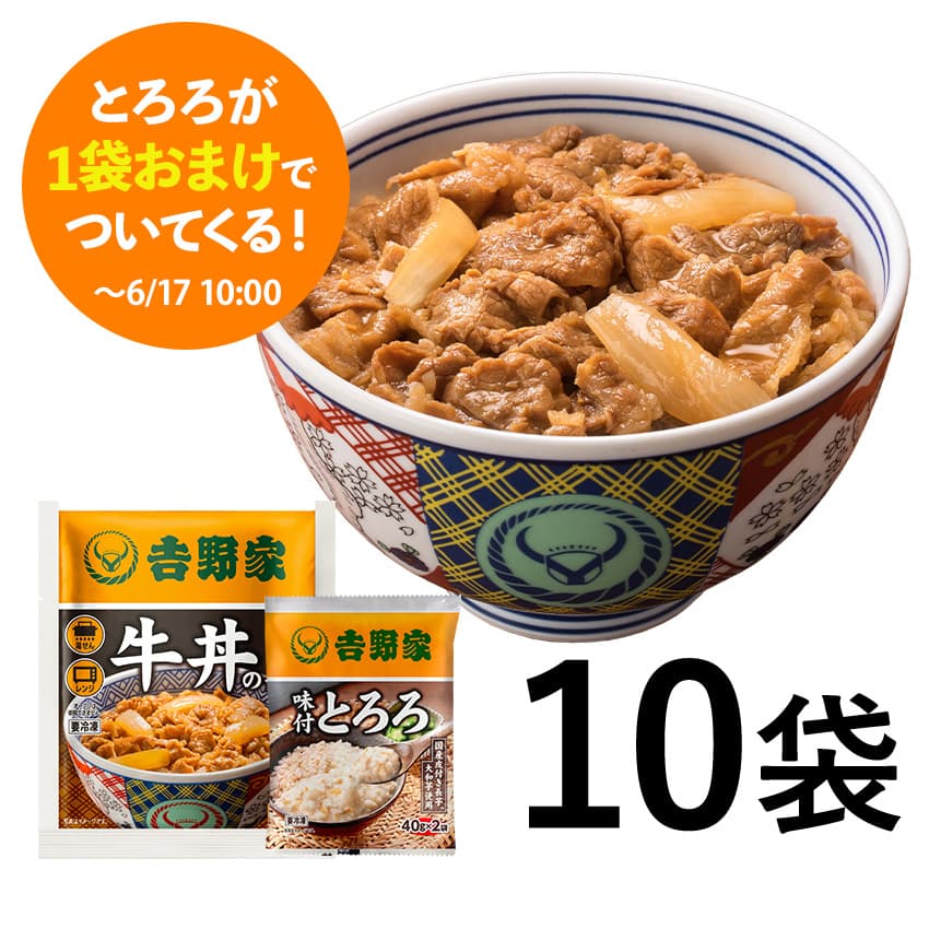 牛丼の具 10袋【冷凍】T