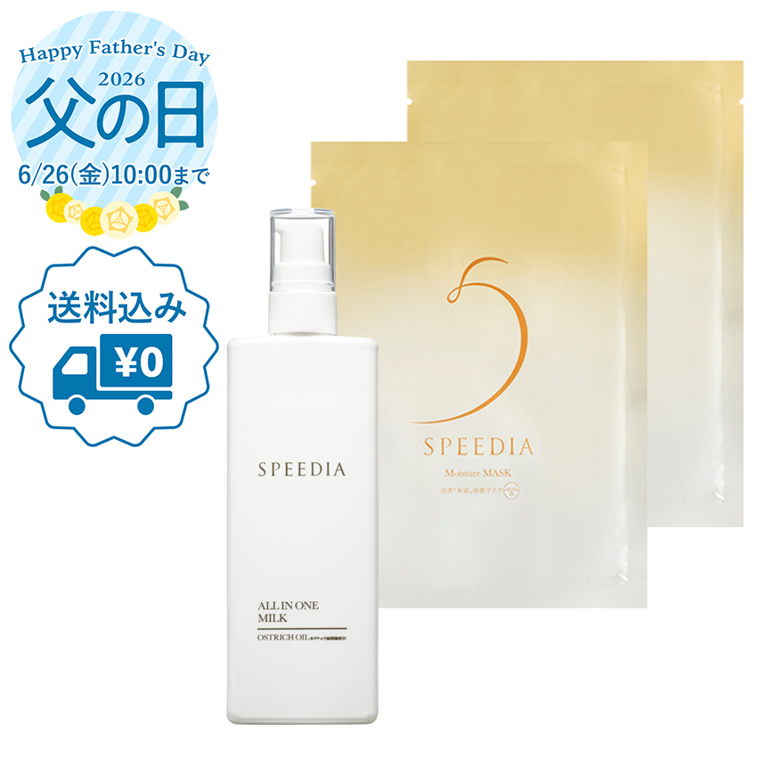 【送料込み】SPEEDIA父の日ギフトA