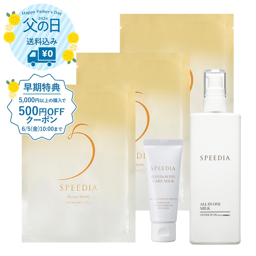 【送料込み】SPEEDIA父の日ギフトB