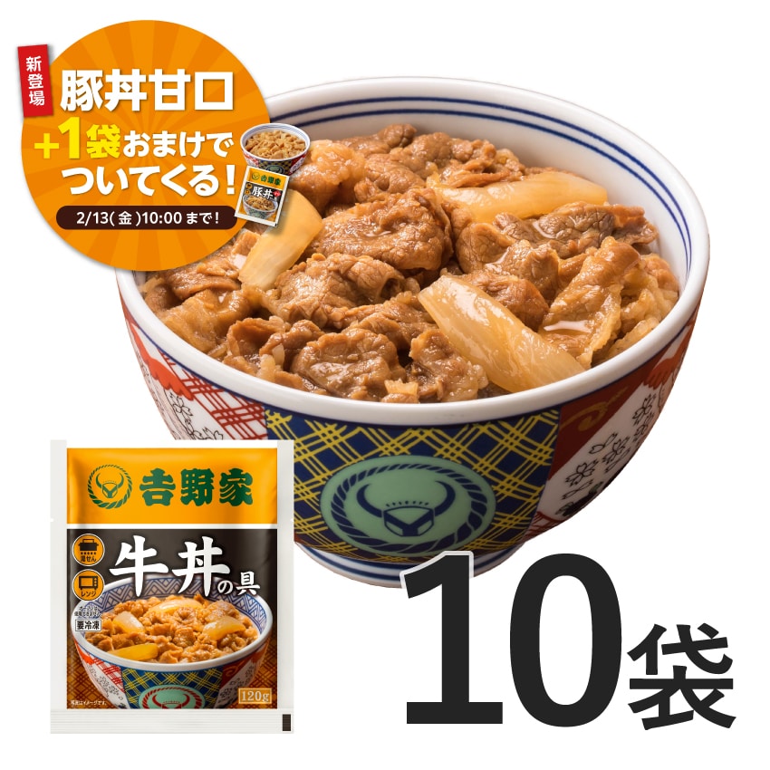 牛丼の具 10袋【冷凍】B