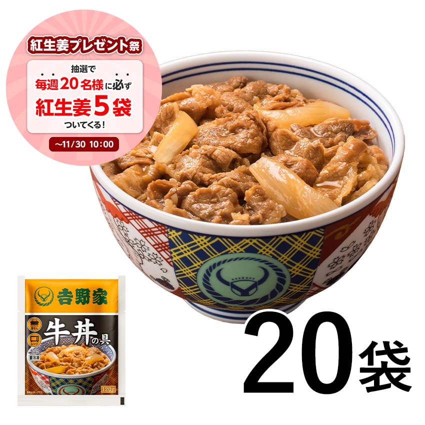 吉野家　牛丼　10食入り