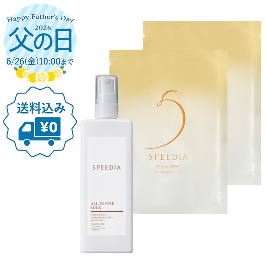 【送料込み】SPEEDIA父の日ギフトA