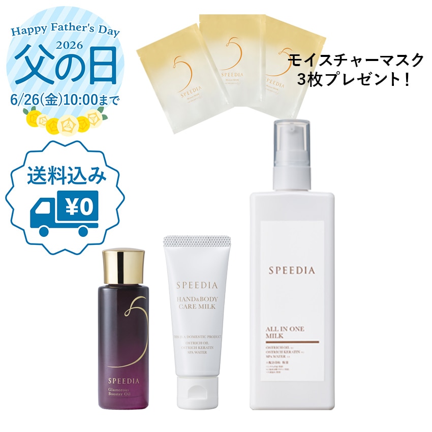 【送料込み】SPEEDIA父の日ギフトC