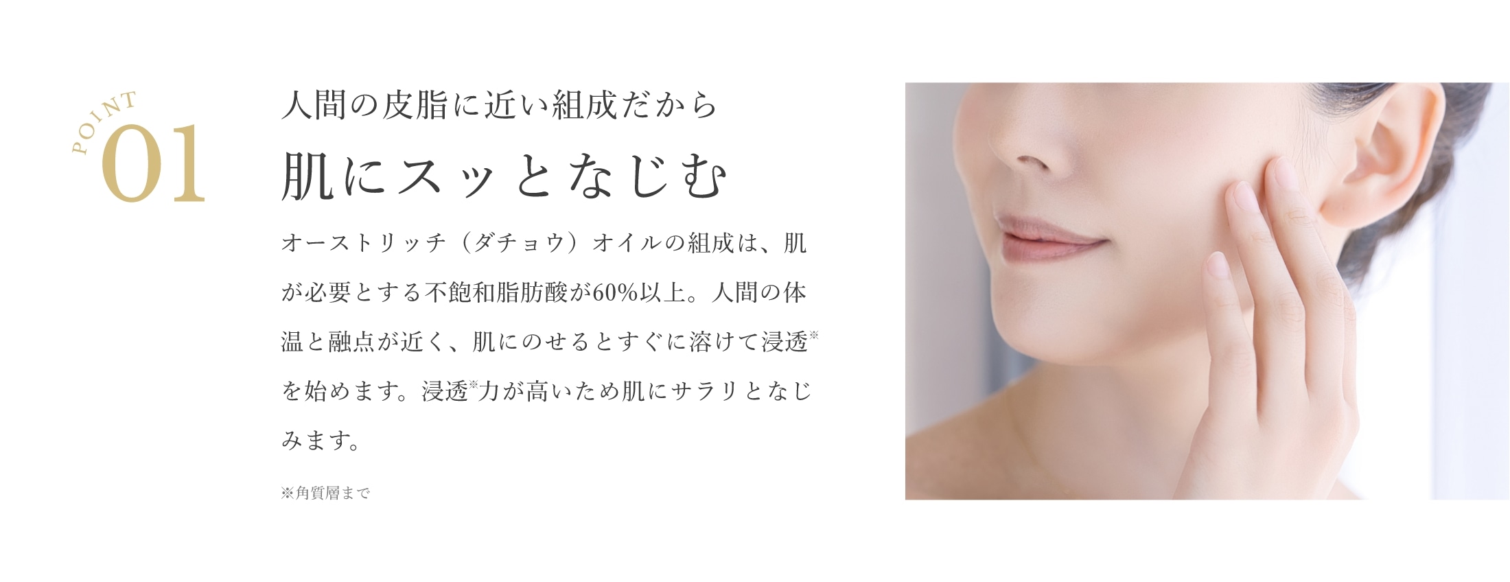point01 人間の皮膚に近い組成だから肌にスッとなじむ オーストリッチ（ダチョウ）オイルの組成は、肌が必要とする不飽和脂肪酸が60％以上。人間の体温と融点が近く、肌にのせるとすぐに溶けて浸透を始めます。浸透力※が高いため肌にサラリとなじみます。※角質層まで