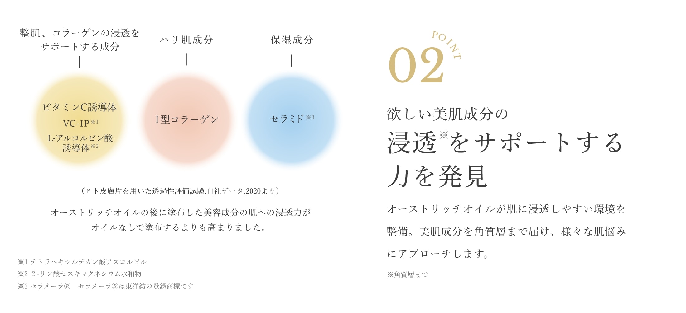point02 欲しい美肌成分の浸透※をサポートする力を発見 オーストリッチオイルが肌に浸透しやすい環境を整備。美肌成分を角質層まで届け、様々な肌悩みにアプローチします。※角質層まで オーストリッチオイルの後に塗布した美容成分の肌への浸透力がオイルなしで塗布するより高まりました。