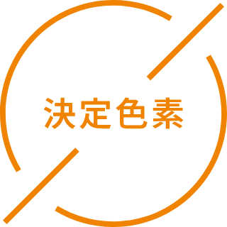 決定色素