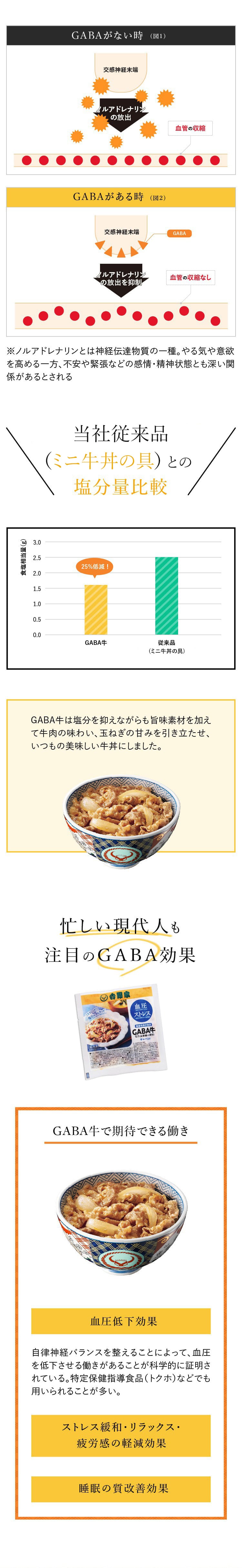 ミニgaba入り牛丼の具 10袋セット 冷凍 吉野家公式通販ショップ