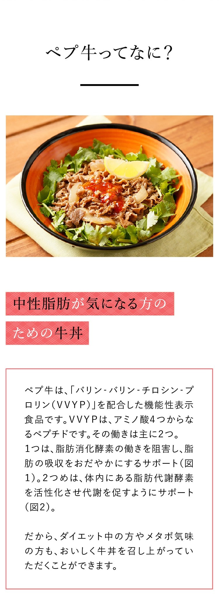 ミニペプチド入り牛丼の具 10袋セット 冷凍 吉野家公式通販ショップ