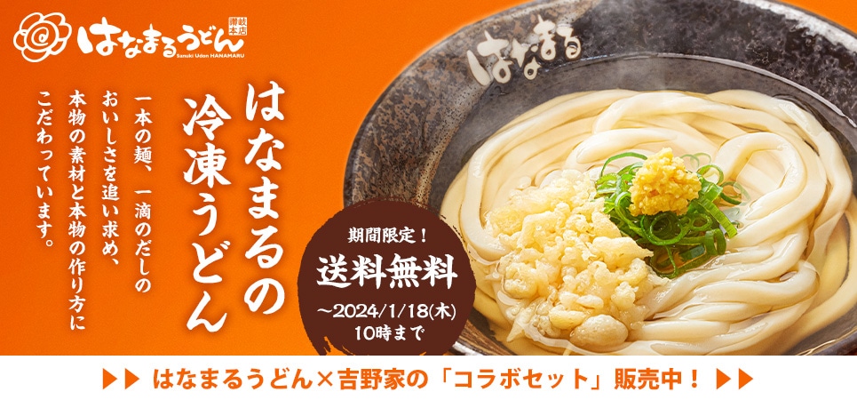 吉野家 はなまるうどん 145枚 72500分はなまるうどん - その他